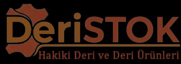 DeriSTOK Logo