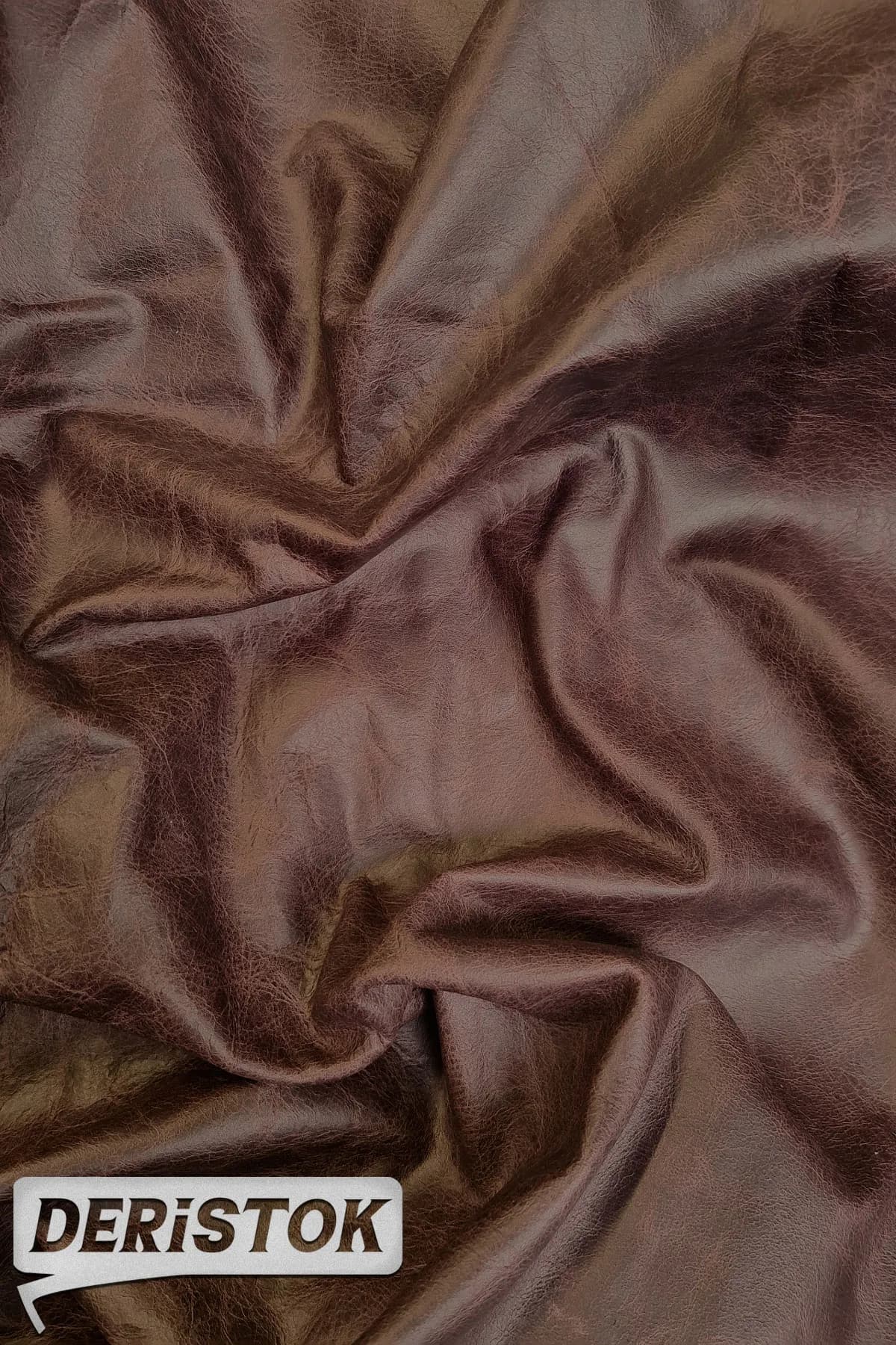 Astar Dana Derisi Kestane