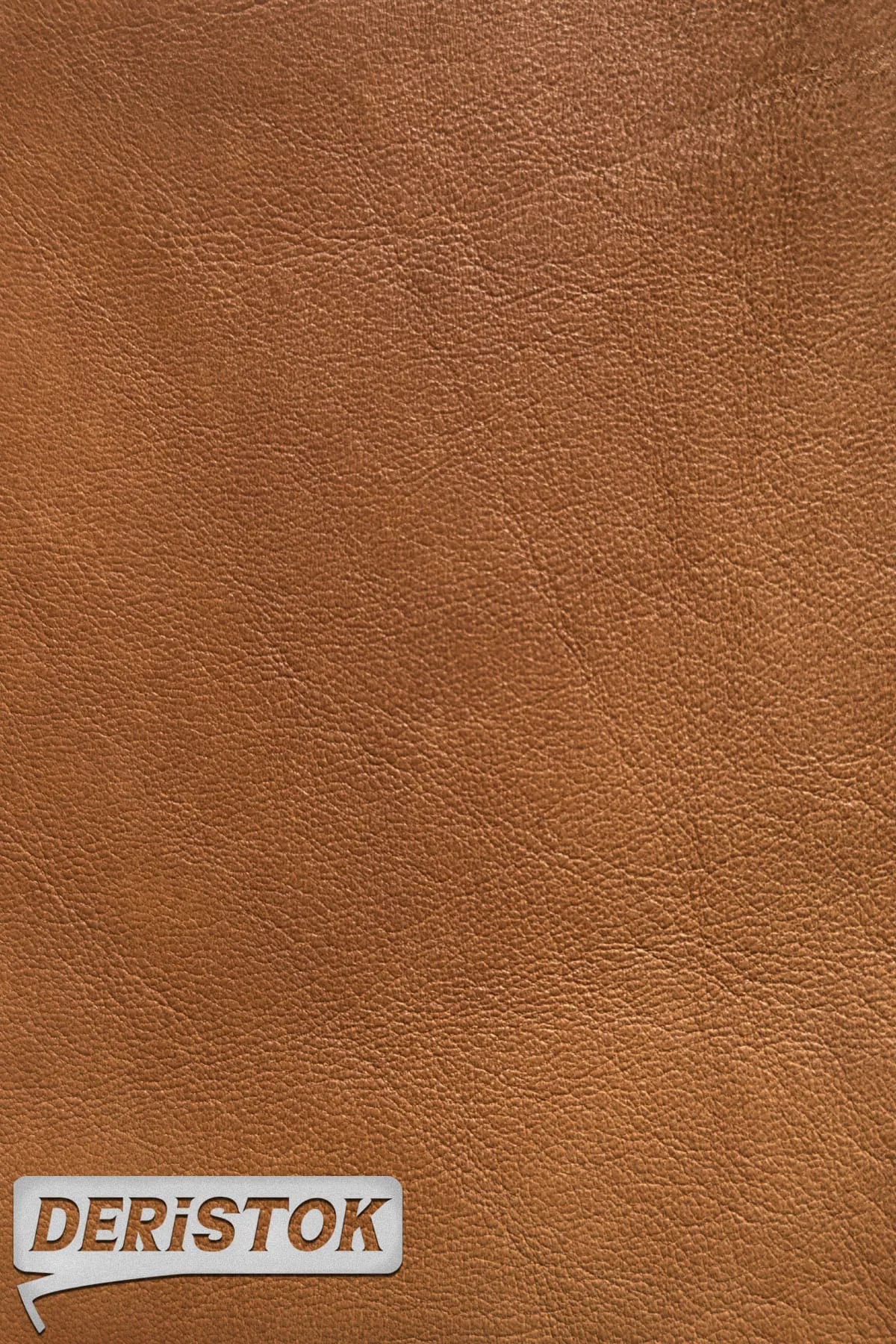 Astar Dana Derisi Açık Mercan - 1