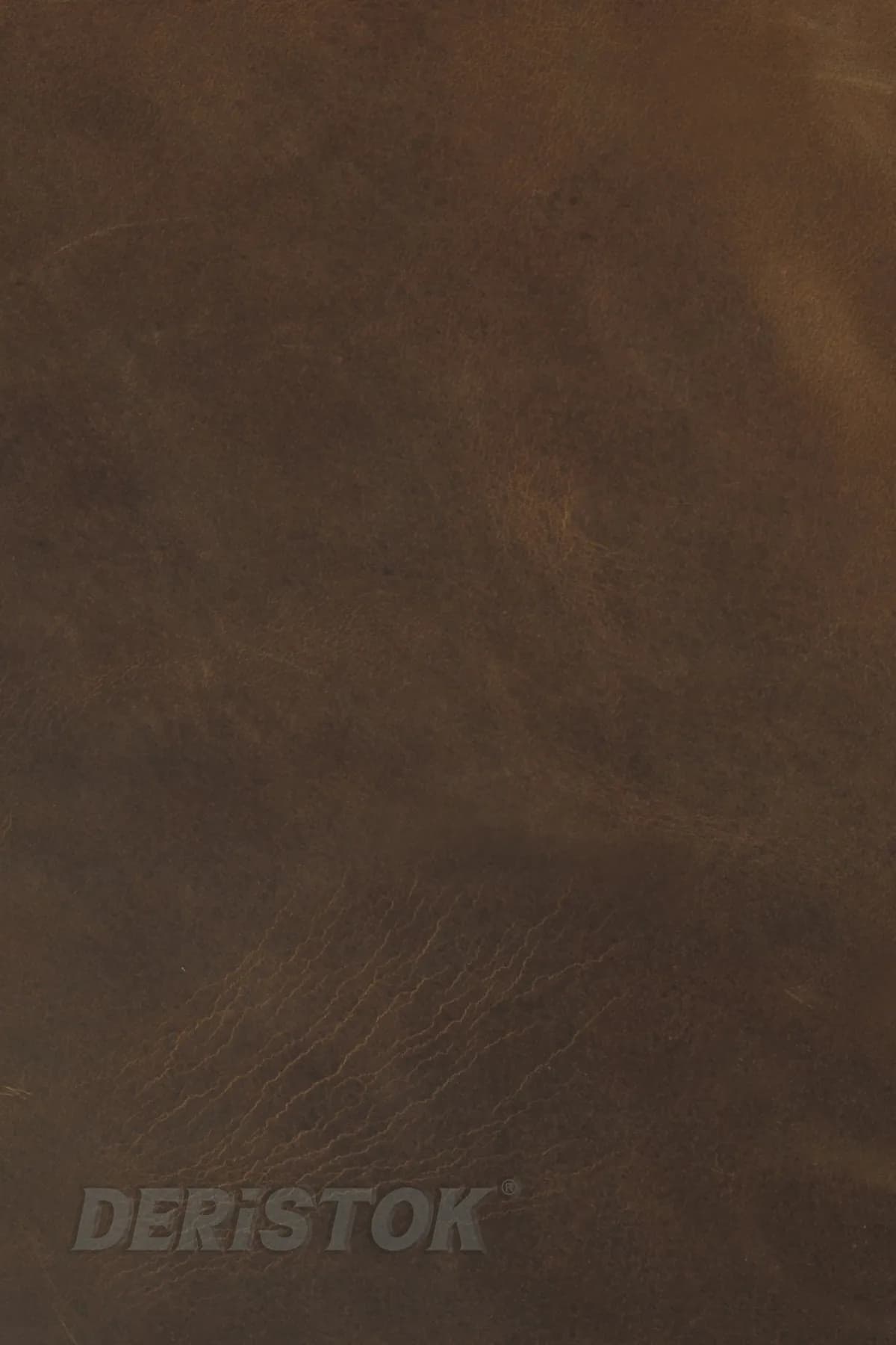 Crazy Horse Dana Derisi Taba