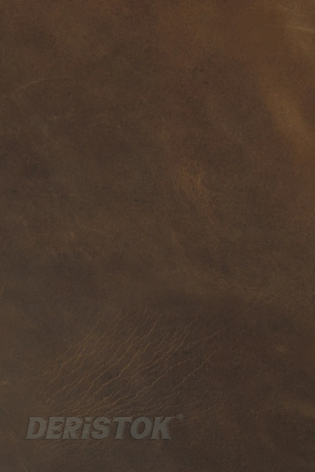 Crazy Horse Dana Derisi Taba - 1