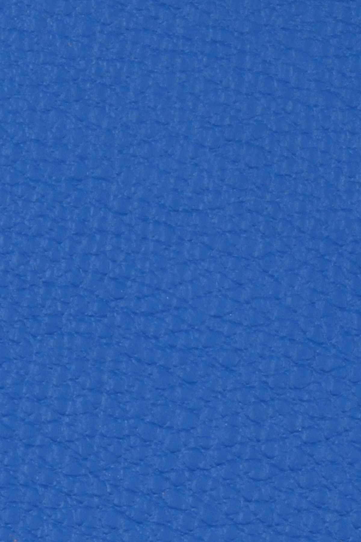 Dana Derisi Flotter Mavi