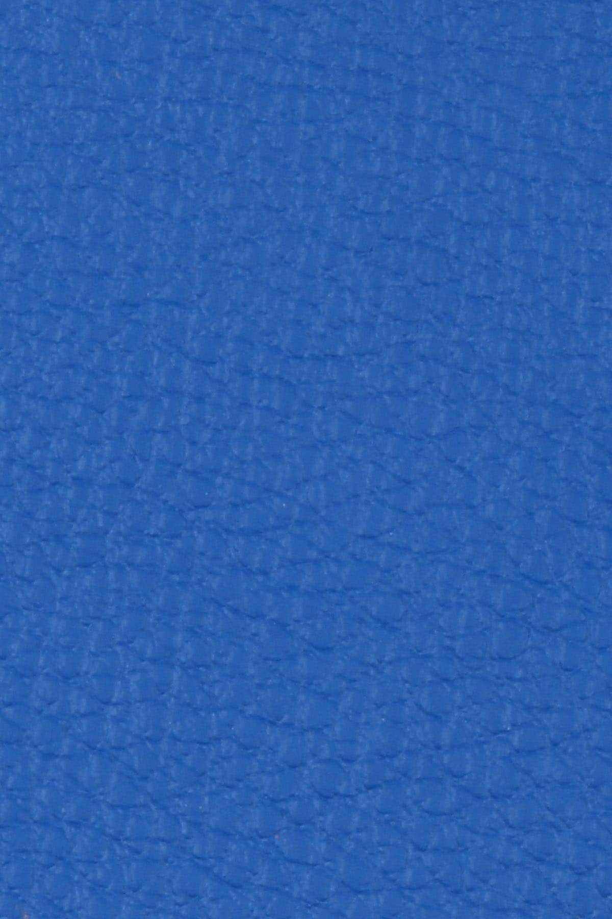 Dana Derisi Flotter Mavi - 1