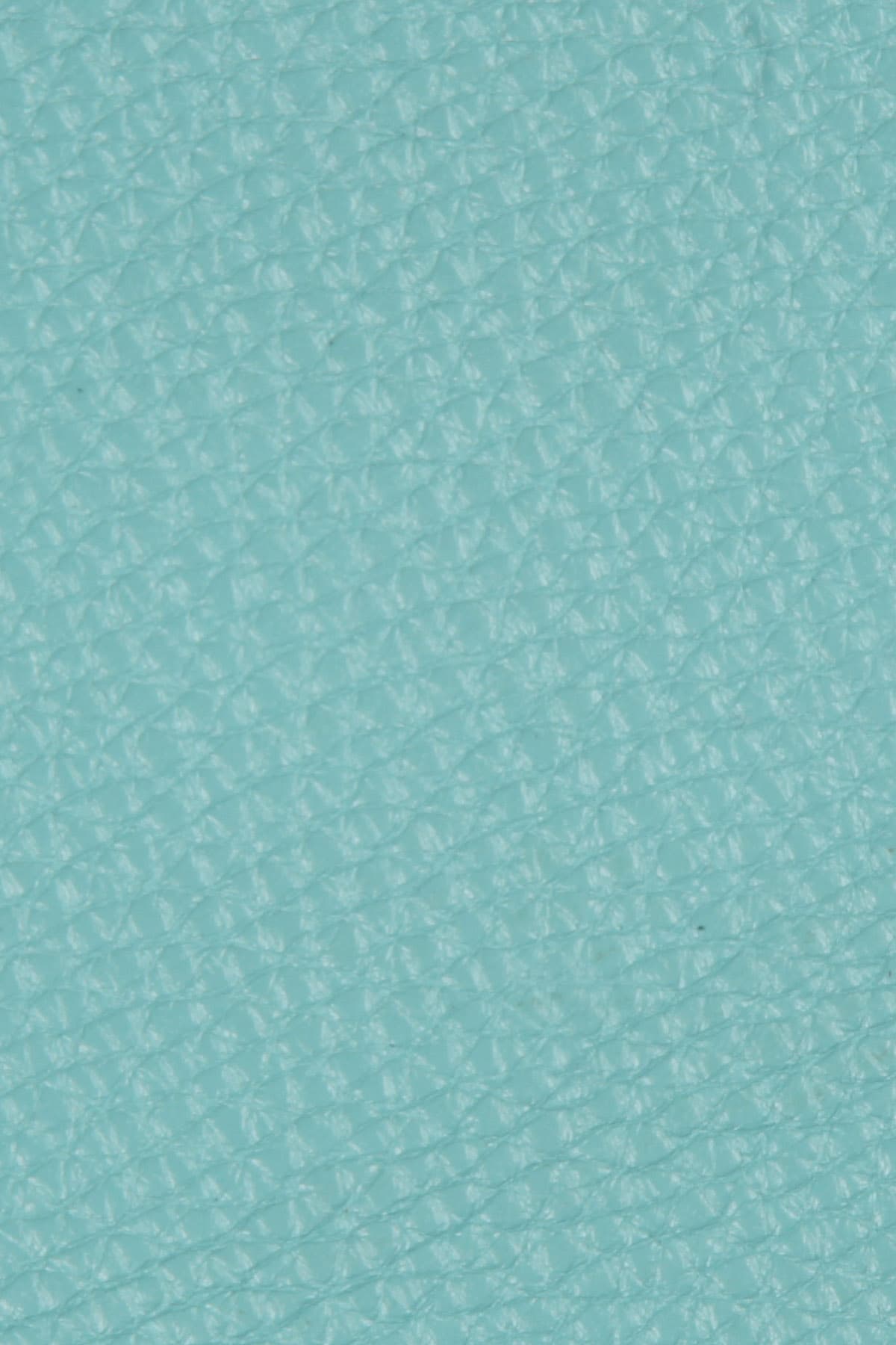 Dana Derisi Flotter Opak Camgöbeği