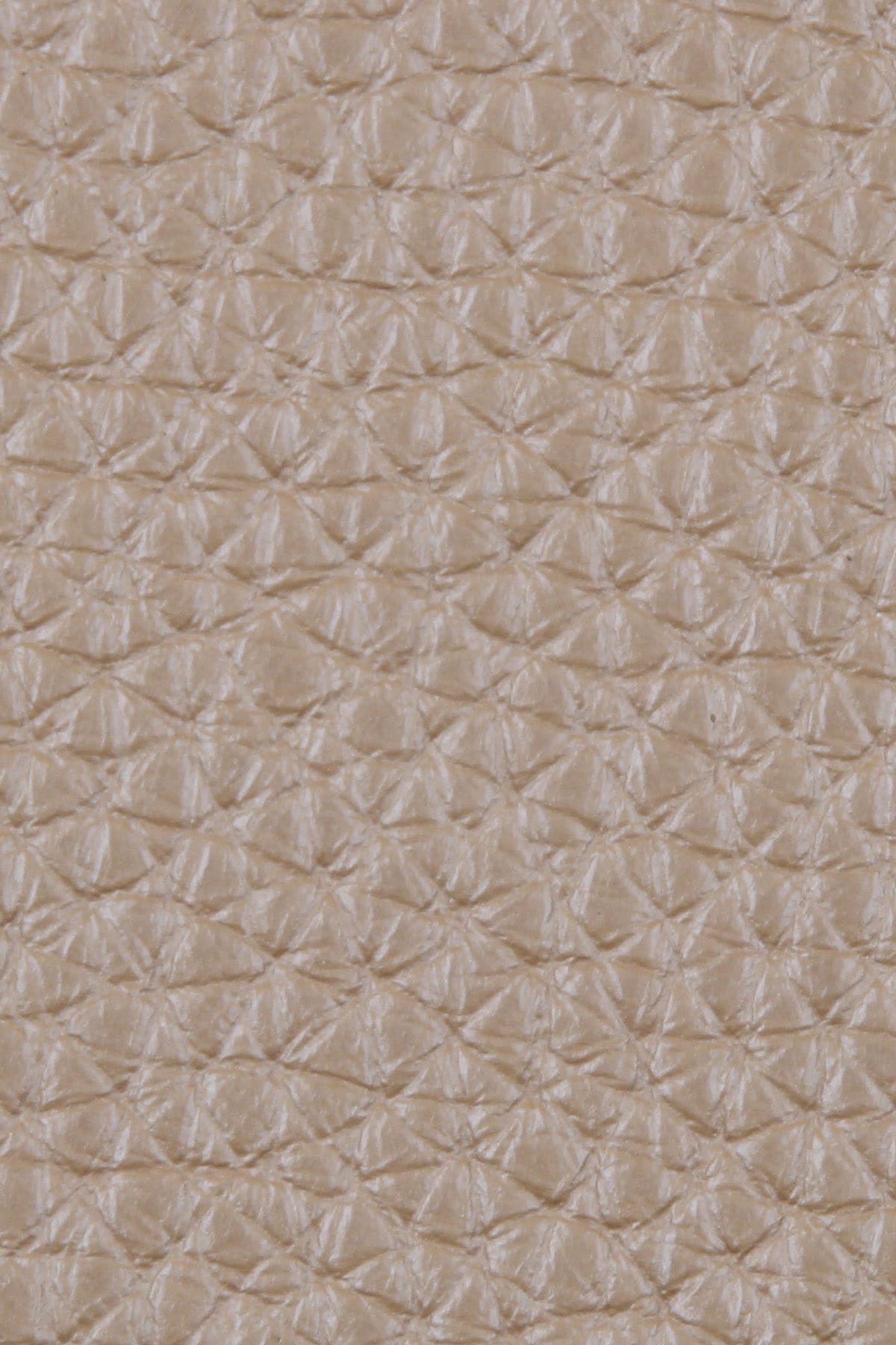 Dana Derisi Flotter Soluk İstiridye - 1