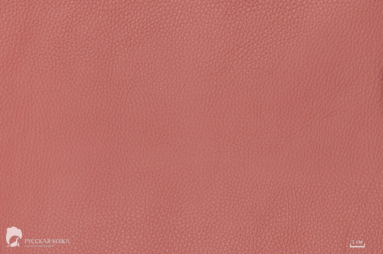 Dana Derisi Flotter Tozlu Gül - 1