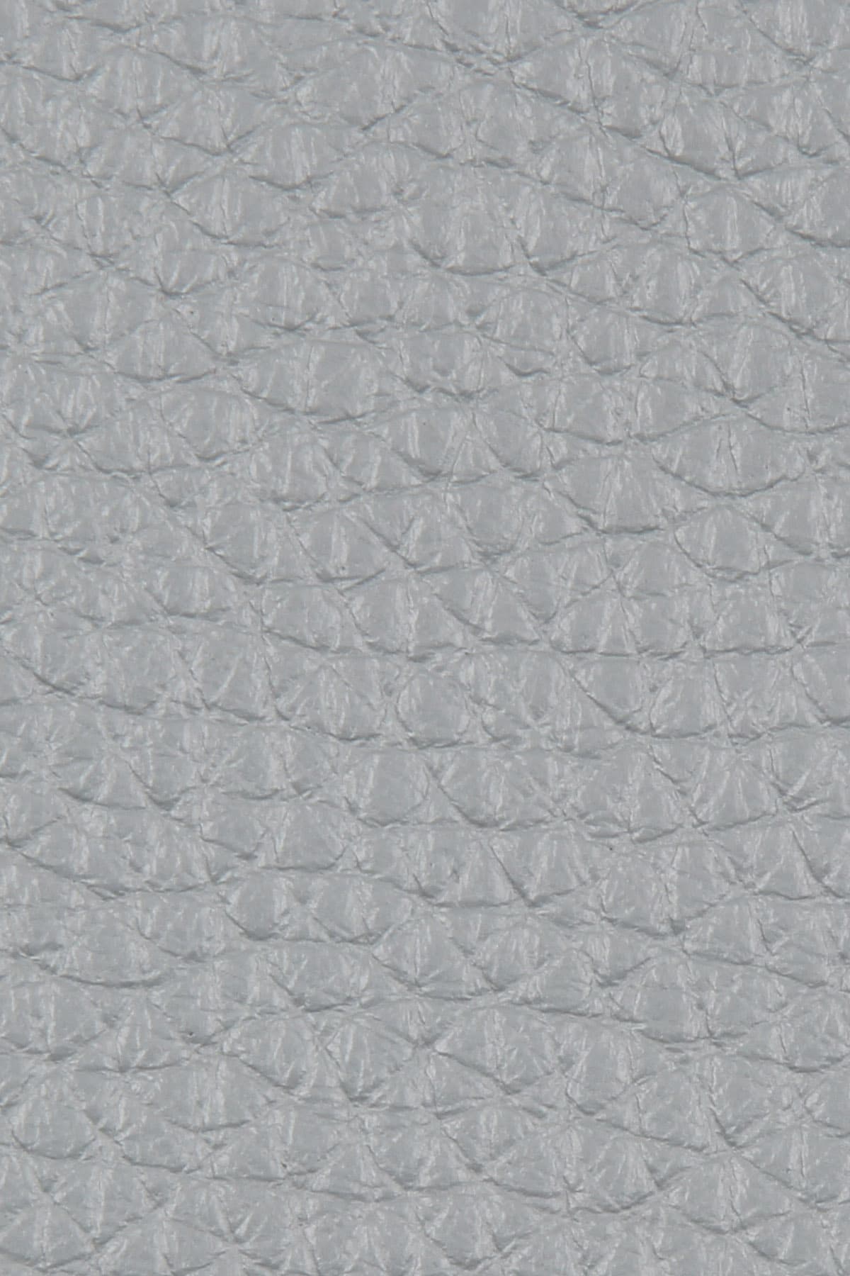 Dana Derisi Flotter Yıldız Tozu