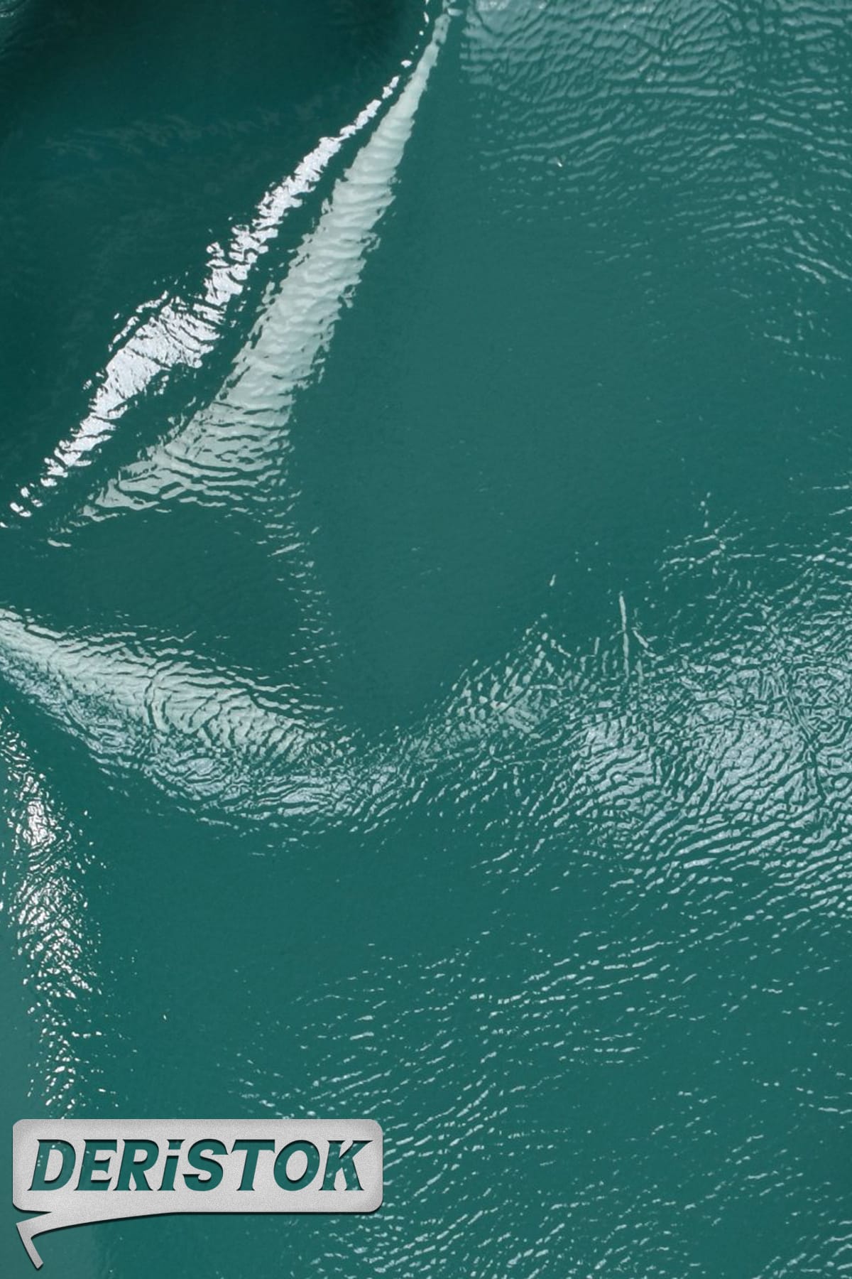 Dana Derisi Rugan Koyu Yeşil Mavi - 1