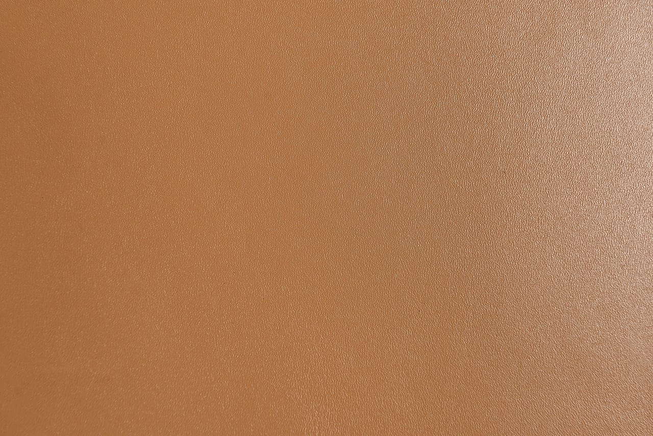 Dana Derisi Softy Toprak - 1