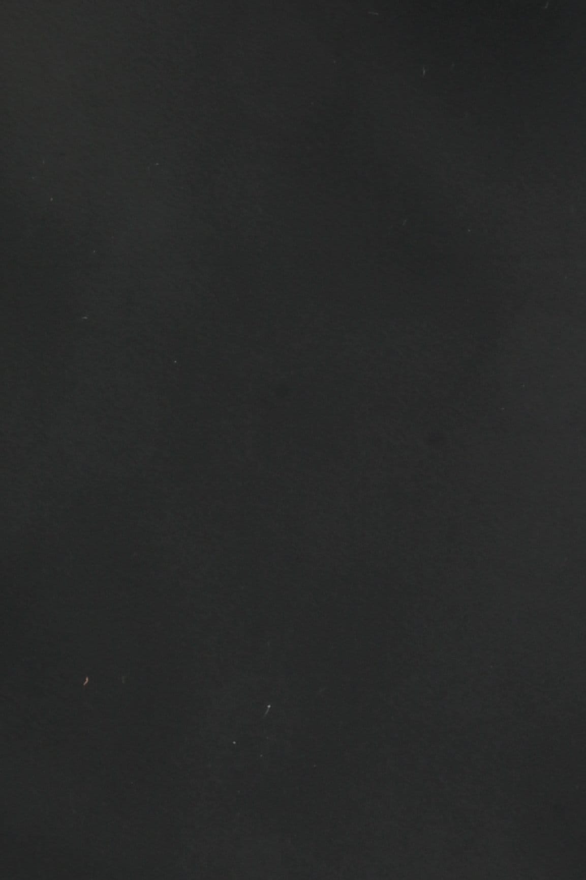 Dana Supozulato Baltık Denizi - 1