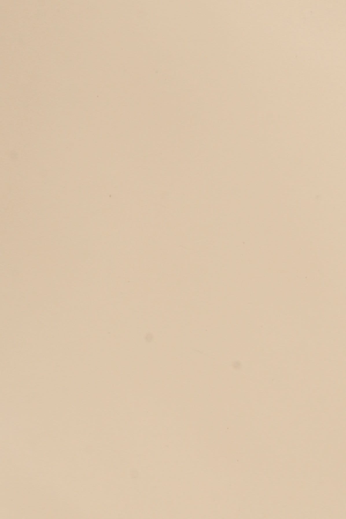 Dana Supozulato Kaşmir - 1