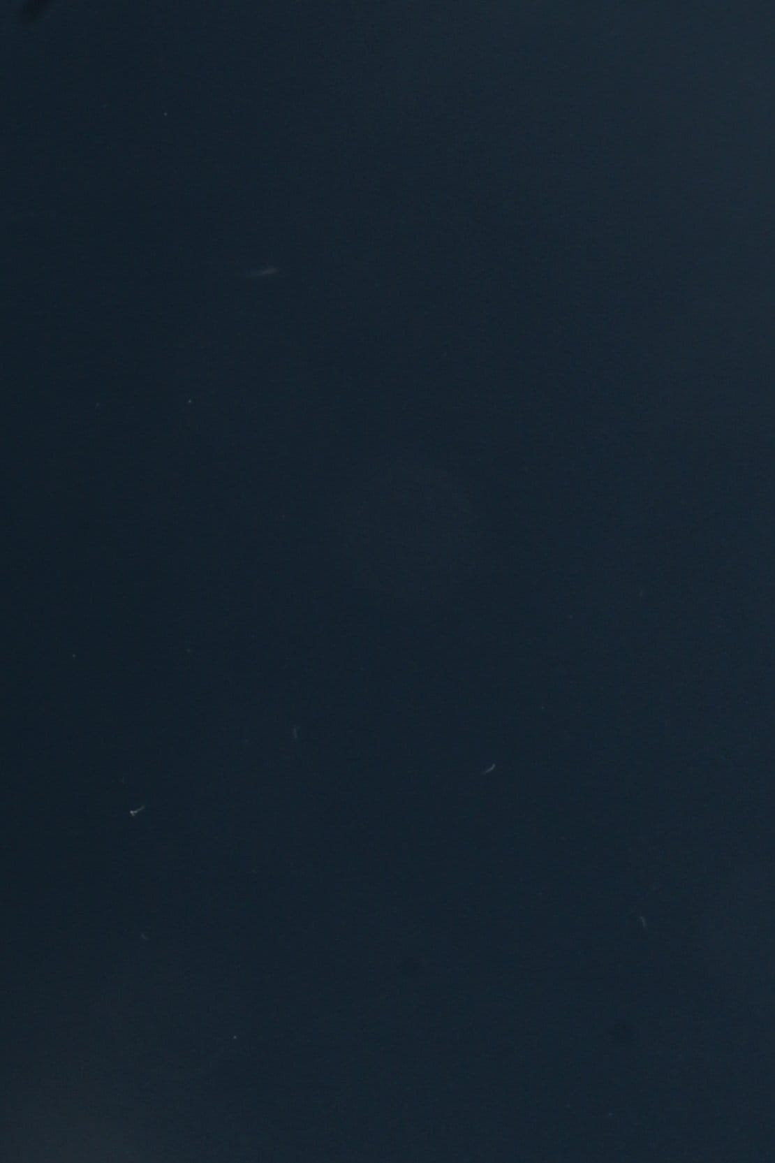 Dana Supozulato Koyu Orman Yeşili - 1