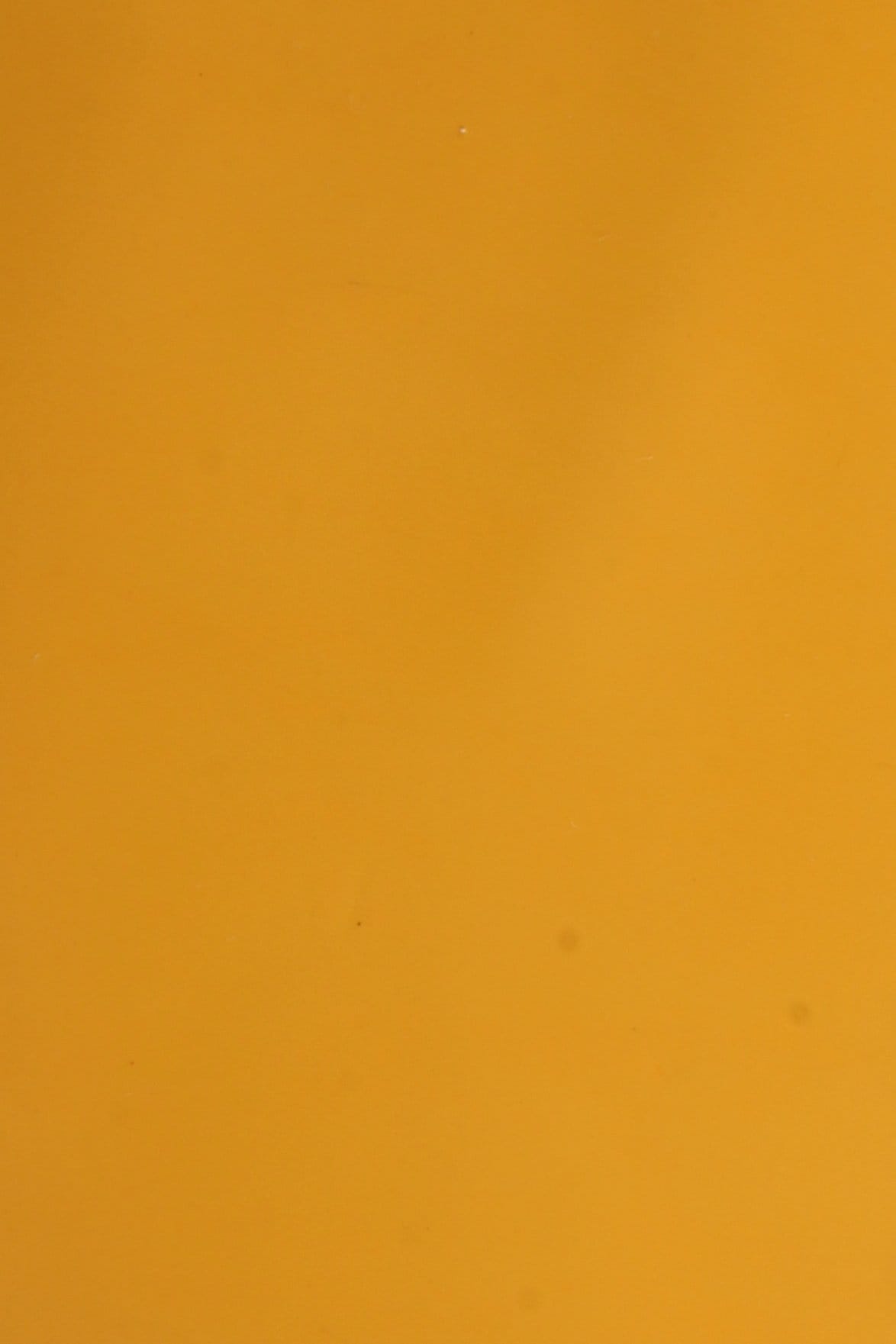 Dana Supozulato Sarı - 1