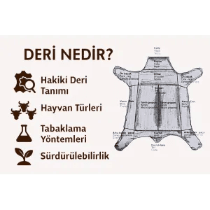 Deri Nedir? – Hakiki Deri Dünyasına Kapsamlı Rehber